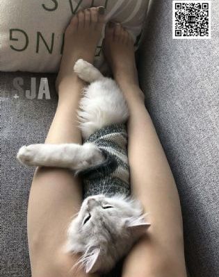王牌杀姬免费观看完整版