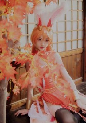 宫锁珠帘电视剧免费播放